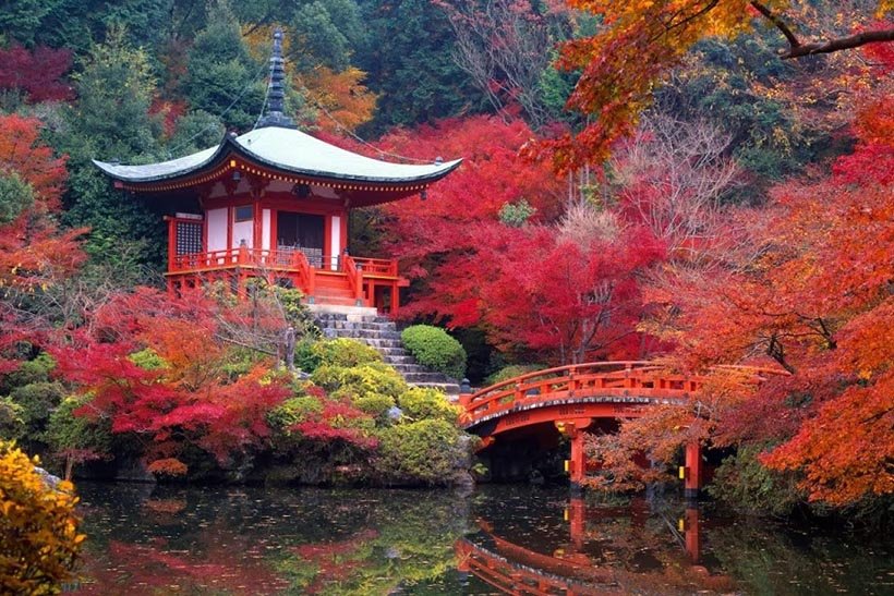 Хотите бесплатный загородный дом в Японии? Они отдают их!