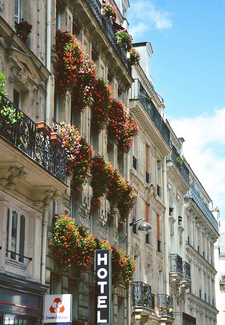 Посещаемость французских отелей продолжает расти устойчивыми темпами