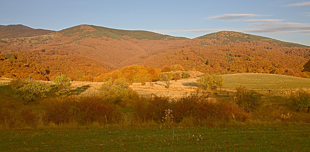 Цены на сельскохозяйственные земли в Болгарии выросли