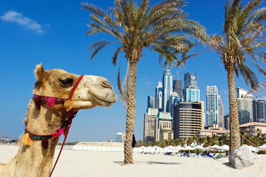 ОАЭ предлагают иностранцам «пенсию за инвестиции»