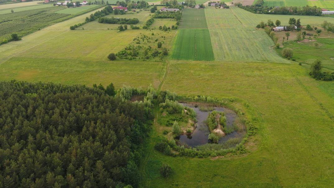 Инвестиция в  Польше — земельный участок 10 га вблизи крупнейшего в Европе ХАБа