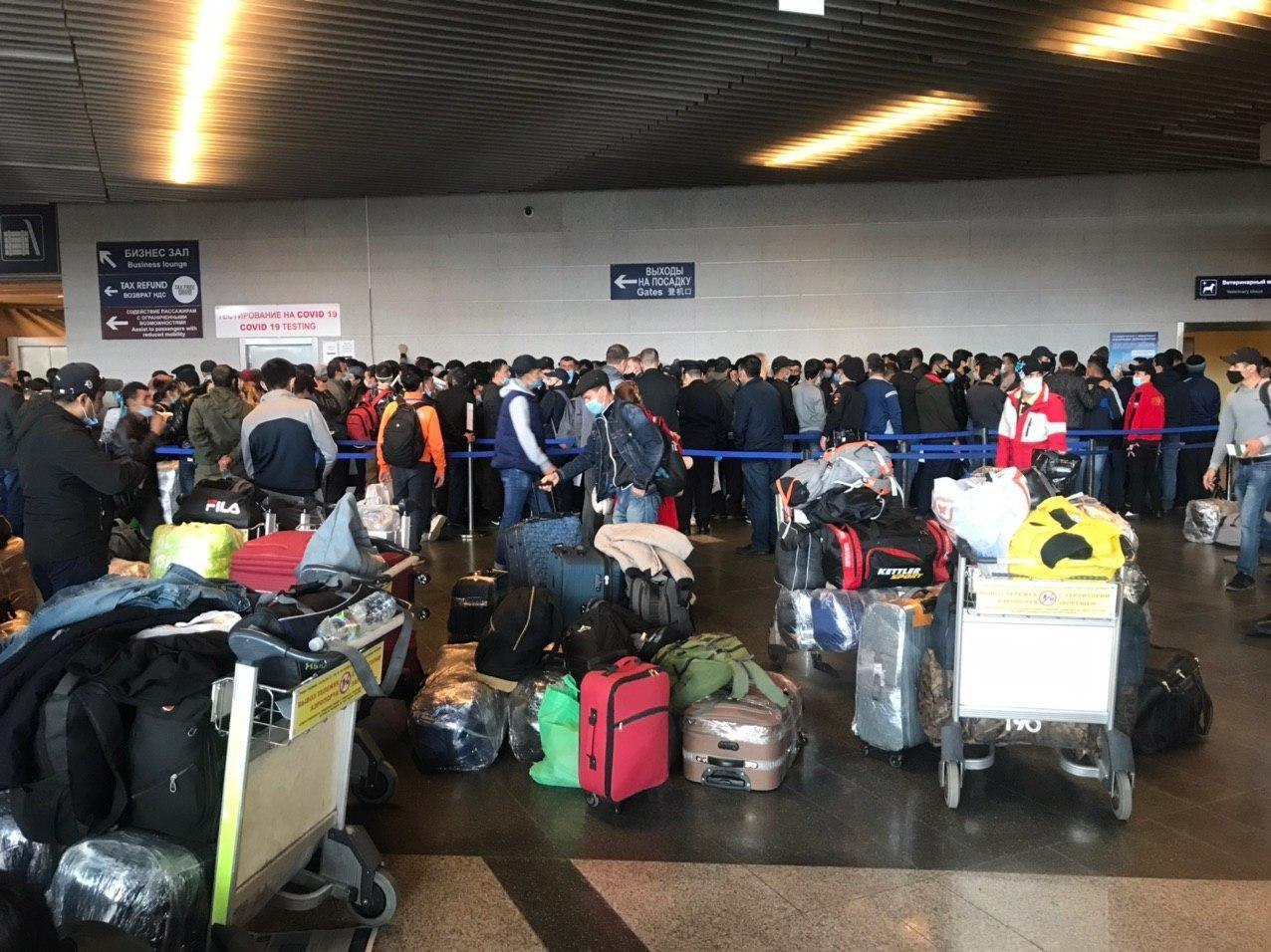 В аэропорту Москвы пассажиры по 9 часов ждут очередь на ПЦР-тестирование