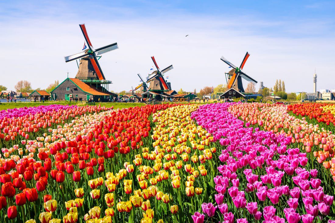 Savills: рынок недвижимости Нидерландов сохранил устойчивость в 2020 году
