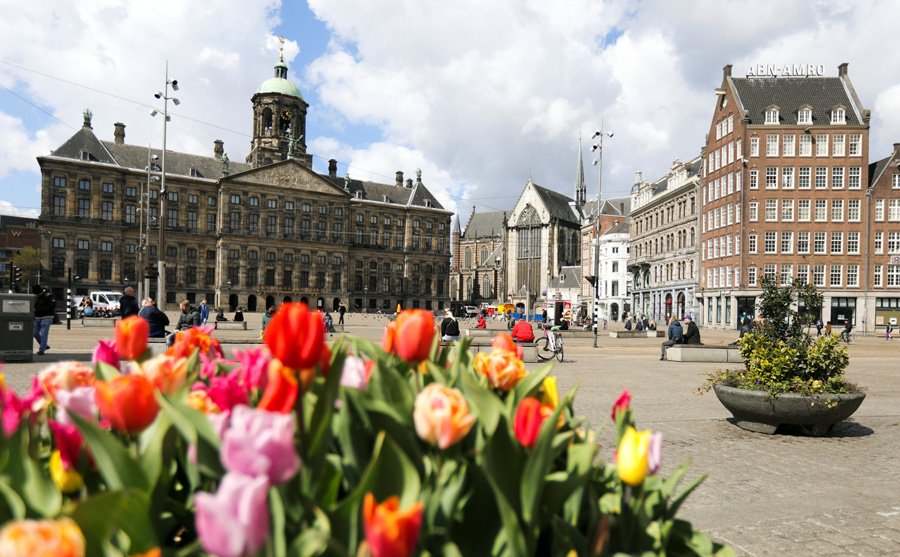 Недвижимость в Нидерландах: объем продаж падает уже год, цены неуклонно растут
