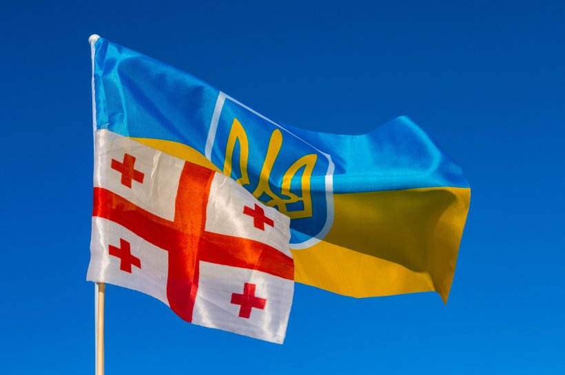 В Грузии началась программа денежной поддержки украинцам