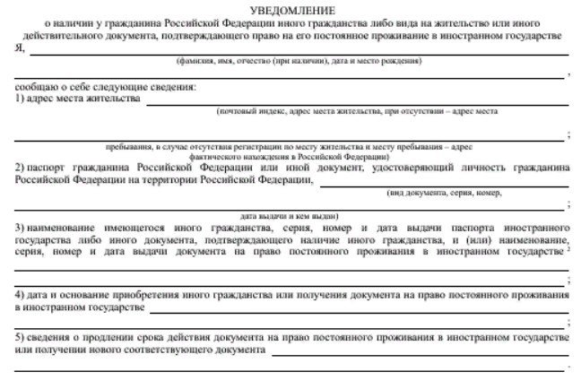 Новые инициативы для россиян за границей: уведомление посольства о ВНЖ и втором гражданстве