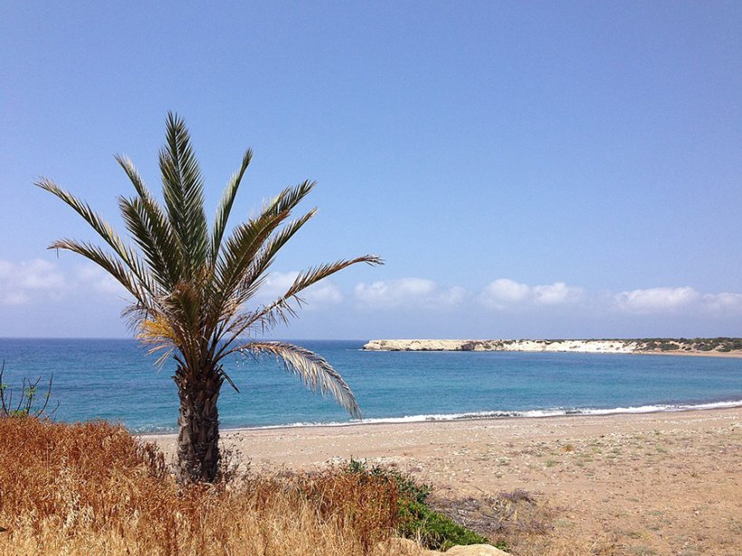 На Кипре обсуждают отмену «золотой визы»
