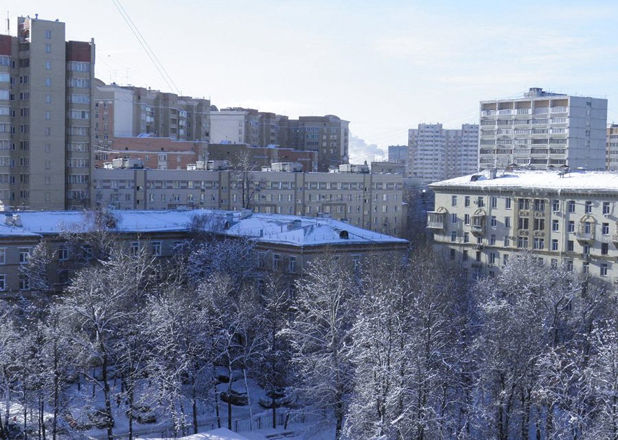 Что будет с арендными ставками на жилье в 2024 году в России