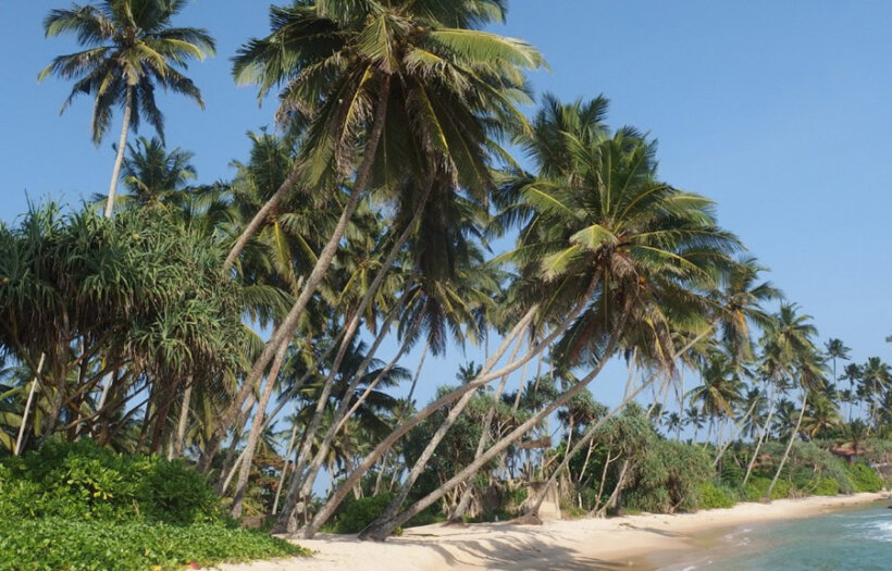 Sri Lanka Loses Popularity as Russian Tour Operators Cancel Charter Flights