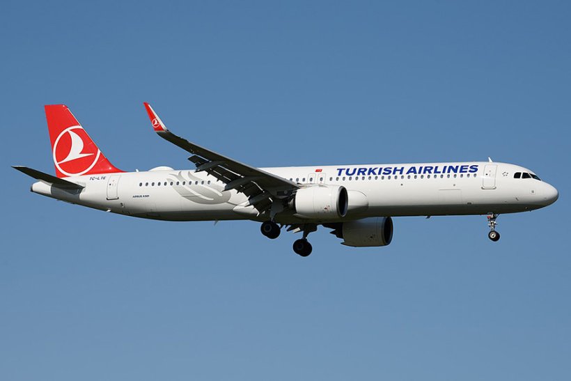 Российский турист отсудил у Turkish Airlines почти миллион рублей