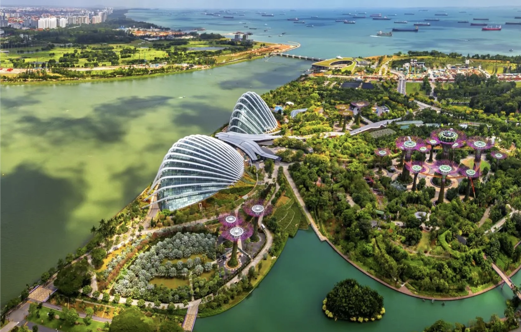 Глобальная авиация требует единства: мировые лидеры индустрии призвали к усилению международного сотрудничества