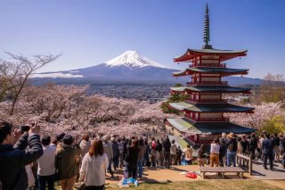 Япония отменила фестиваль сакуры в Фудзиёсида из-за сверхтуризма