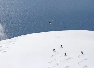 Неожиданное направление возглавило тренды 2026