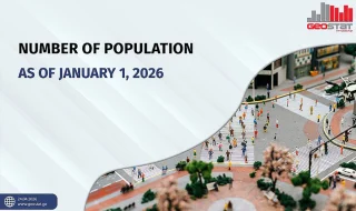 Иностранцы в Грузии обеспечили основной прирост населения в 2025 году