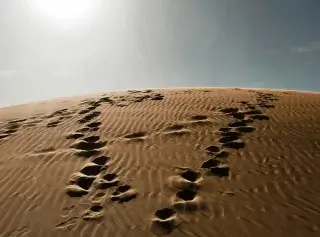 Sudan Gold Exports Shift After UAE Rift