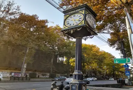 Релокация в Грузию: иностранцы находят новые ниши для бизнеса