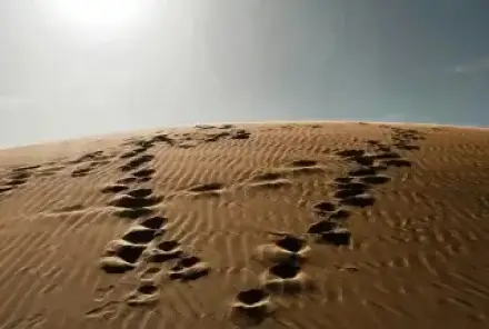 Экспорт золота Судана резко меняет маршруты