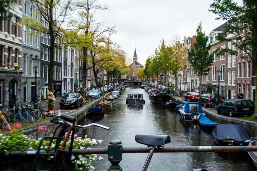 Netherlands Faces Backlash Over Wealth Tax Plan