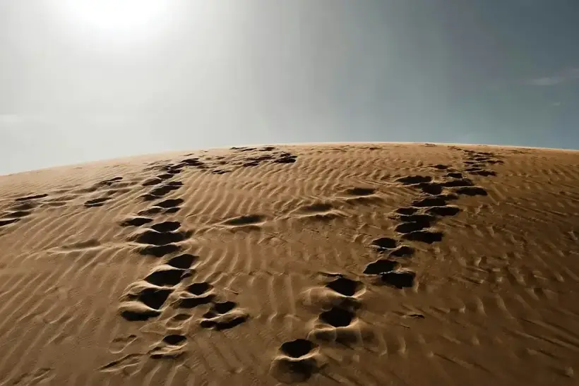 Sudan Gold Exports Shift After UAE Rift