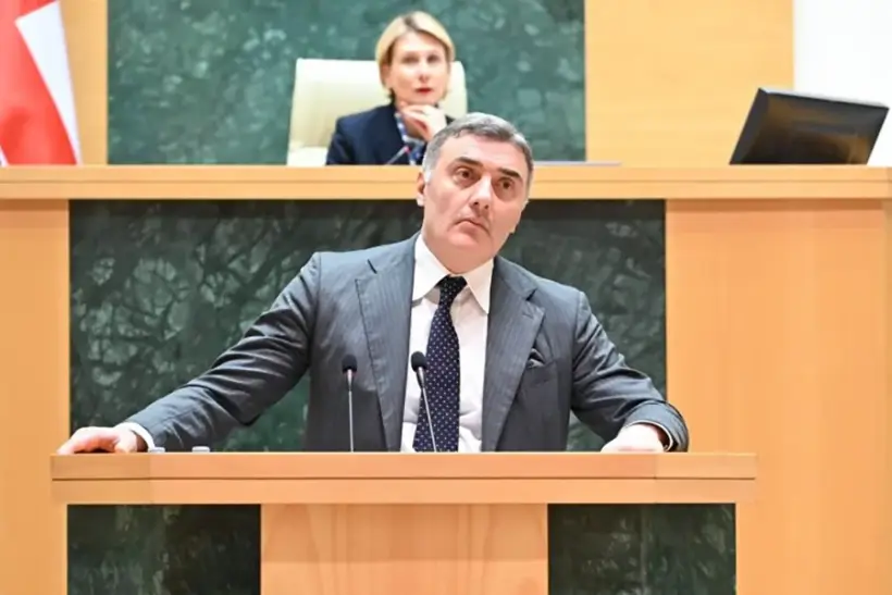 Разрешение на работу в Грузии: парламент упростил правила трудовой миграции